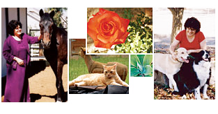 Animals in healing for the soul